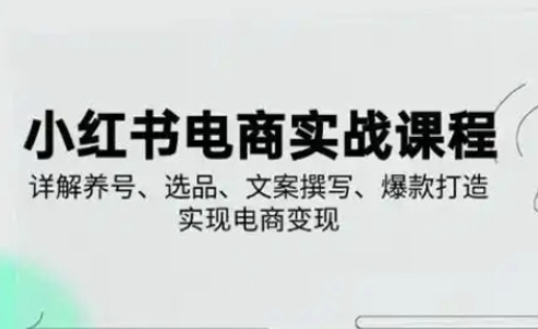 小红书从0-1实操课(2023-2025)，详解养号、选品、文案撰写、爆款打造实现电商变现-恒屹网络轻创终点站
