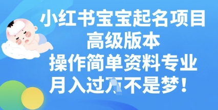 小红书宝宝起名项目高级版本，操作简单，资料专业，月入过W-恒屹网络轻创终点站