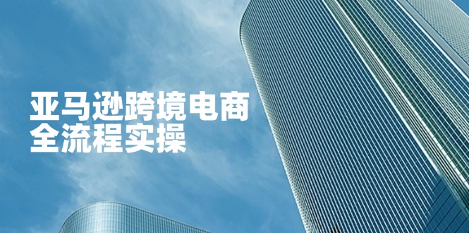 （14252期）亚马逊跨境电商全流程实操，教你从零开始，掌握店铺运营与广告技巧-恒屹网络轻创终点站