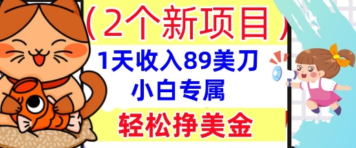 2个新项目，轻松挣美金， 1天收入89美刀，小白专属，干货分享-恒屹网络轻创终点站