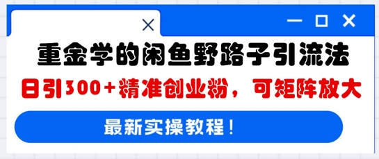 重金学的闲鱼野路子引流法，日引300+精准创业粉，可矩阵放大-恒屹网络轻创终点站