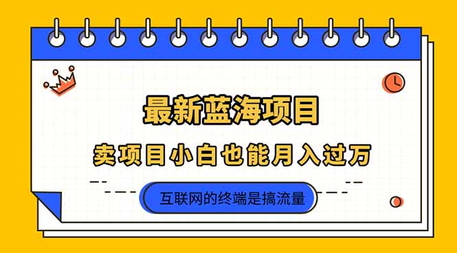 （14289期）2025年最新蓝海项目，卖项目小白也能月入过万-恒屹网络轻创终点站