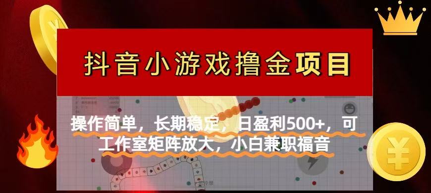 （14290期）【抖音小游戏发行人计划项目】操作简单，长期稳定，日盈利500+，可工作…-恒屹网络轻创终点站