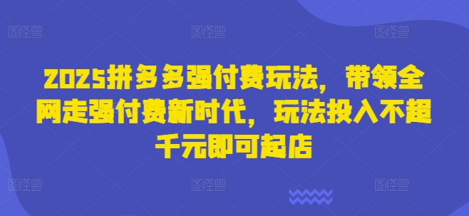 2025拼多多强付费玩法，带领全网走强付费新时代，玩法投入不超千元即可起店-恒屹网络轻创终点站