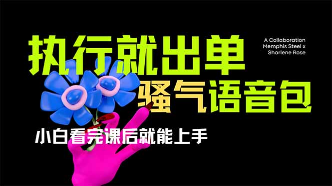 （14170期）爆火全网的开车导航骚气语音包,只要执行就出单，小白看完课程就能实操…-恒屹网络轻创终点站